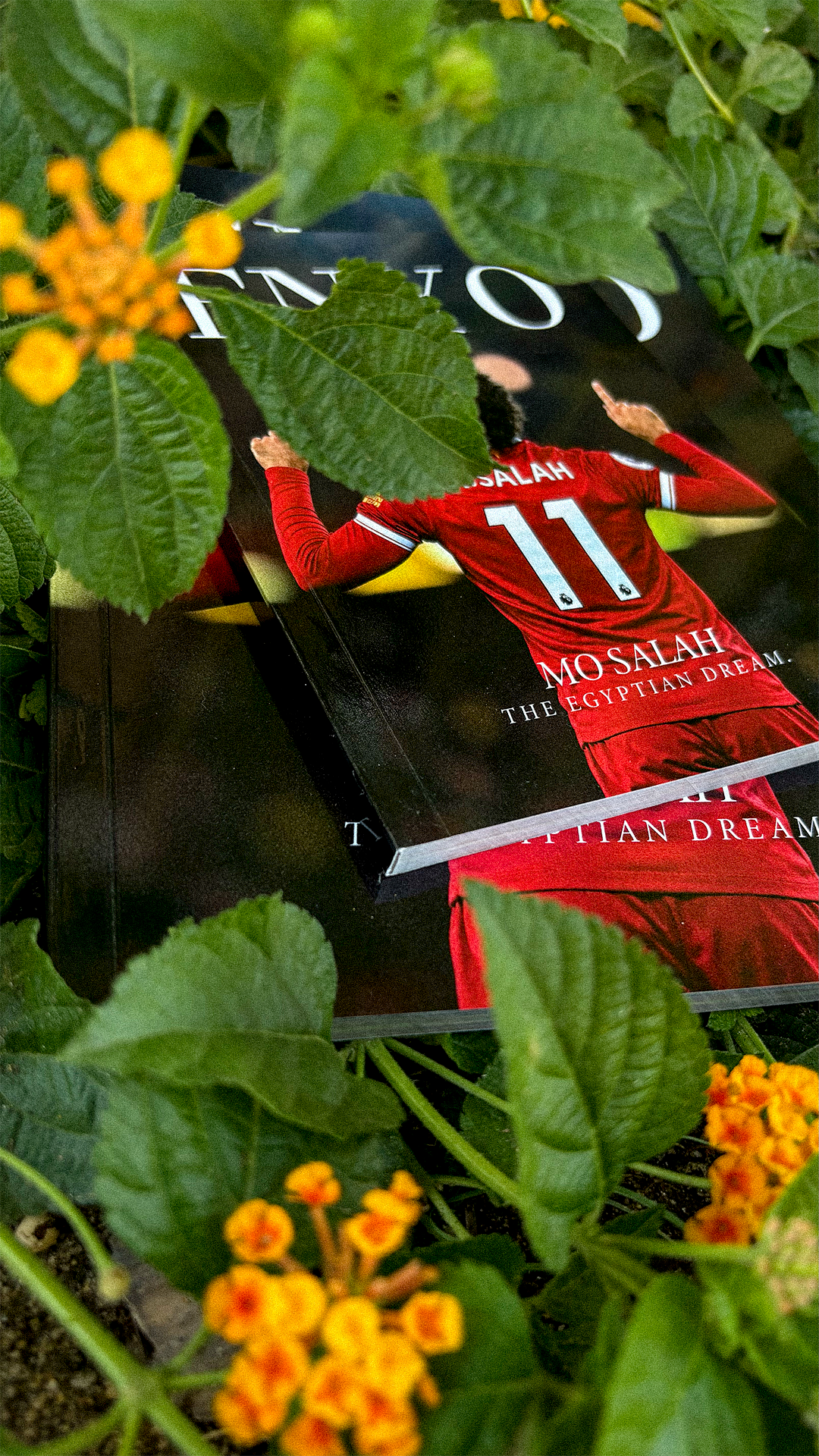 SALAH "STANDARD"